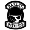 harley davidson skull badge sticker