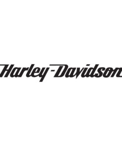 harley davidson italic