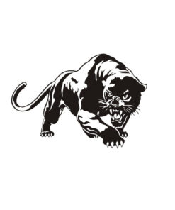 black jaguar sticker