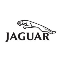 jaguar sticker origineel