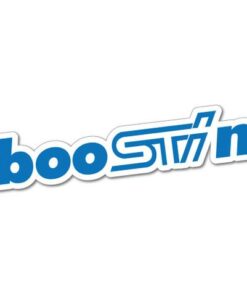 BooSTIn