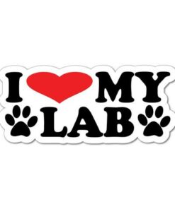i love my labrador sticker