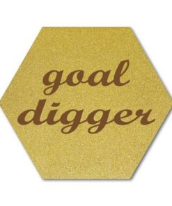 Goal digger