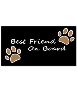 Best friend on board