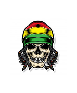 Jamaican skull