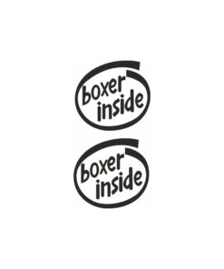 Boxer inside