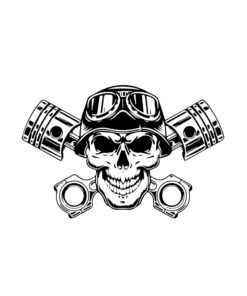 Skull no. 15