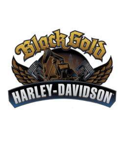 Harley Davidson black gold