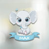 its a boy baby sticker met eigen naam