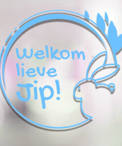 welkom lieve naam konijntje jongen babysticker betaalbare geboortesticker
