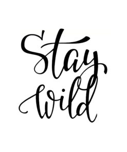 stay wild avontuurlijke sticker betaalbaar