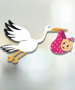 betaalbare kwaliteitssticker Geboorte ooijevaar meisje sticker nr 1