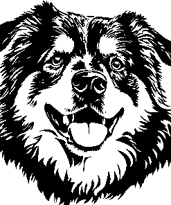 ALASKAN MALAMUTE sticker 2