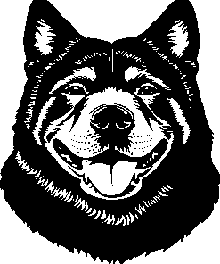 AMERICAN AKITA 2 sticker