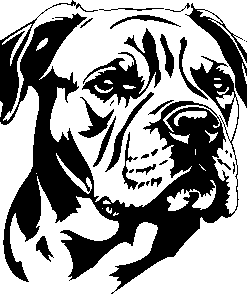 AMERICAN BULLDOG dog sticker 1