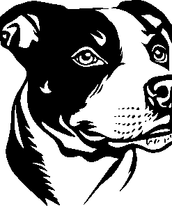 AMERICAN STAFFORDSHIRE sticker 3