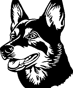 AUSTRALIAN KELPIE sticker 2