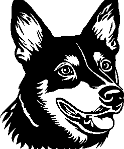 AUSTRALIAN KELPIE hondensticker