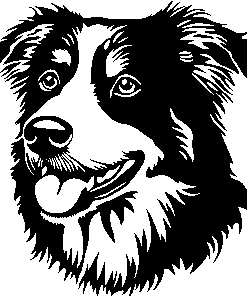 AUSTRALIAN SHEPHERD sticker 3