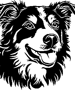 AUSTRALIAN SHEPHERD sticker 2