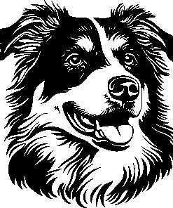 AUSTRALIAN SHEPHERD sticker 1