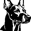 AUSTRIAN PINSCHER sticker 1