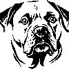 Alano Español sticker 4