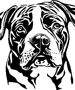 American BULLDOG dog sticker 3