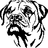 BULLMASTIFF sticker 3