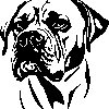 bullmastiff sticker 1
