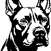 BULL TERRIER sticker 2