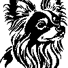Chinese gekuifde naakthond sticker