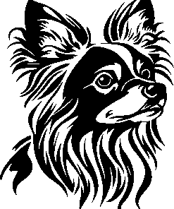 Chinese gekuifde naakthond sticker