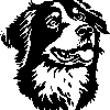 MUNSTERLANDER sticker