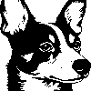 PORTUGESE PODENGO sticker