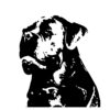 cane corso sticker